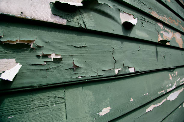 Best Storm Damage Siding Repair  in Trowbridge Park, MI