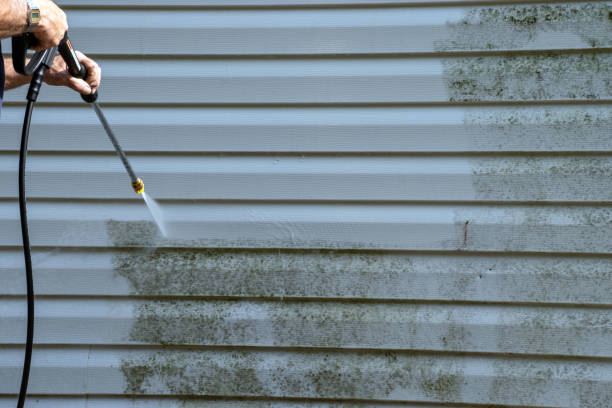 Best Custom Siding Design  in Trowbridge Park, MI