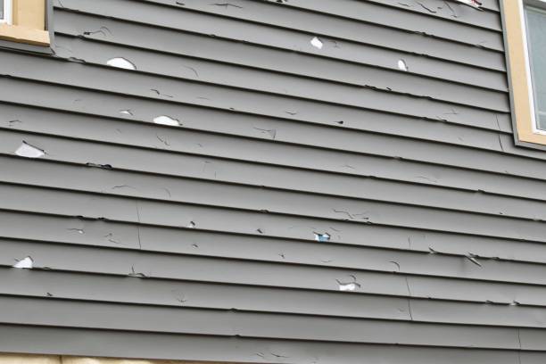 Best Siding for New Construction  in Trowbridge Park, MI