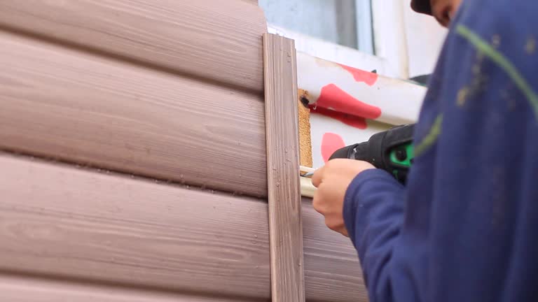 Best Brick Veneer Siding  in Trowbridge Park, MI
